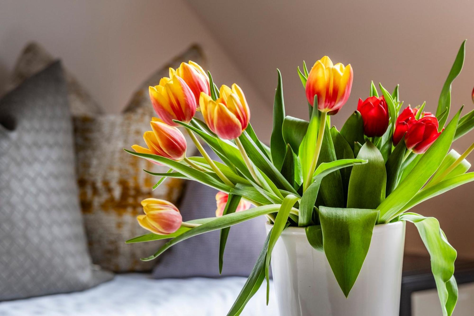 Seehotel Lichtenberg Bagian luar foto